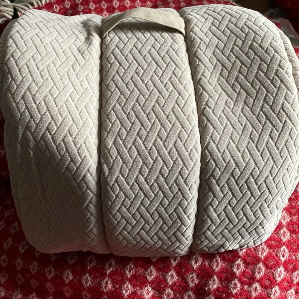 Best Friends Carry Quilted Pet House With Removable Mattress Never Used